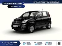 Neu Fiat Panda Icon 65 PS (47 kW) 2026 Schwarz Kleinwagen
