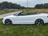 Gebraucht Audi S5 Cabriolet Design 333 PS (244 kW) 2011 Weiß Cabrio