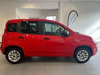 Gebraucht Fiat Panda More 69 PS (50 kW) 2017 Rot Kleinwagen