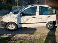 Gebraucht Fiat Panda 54 PS (39 kW) 2009 Weiß Kleinwagen