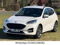 Gebraucht Ford Kuga ST-Line X 190 PS (139 kW) 2021 Weiß SUV
