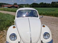 gebraucht VW Käfer 1300