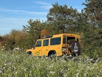 Gebraucht Land Rover Defender 122 PS (89 kW) 2016 Beige SUV