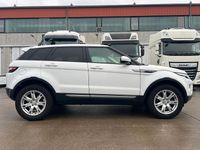 Gebraucht Land Rover Range Rover evoque Pure 150 PS (110 kW) 2014 Weiß SUV