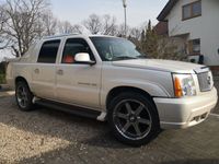 gebraucht Cadillac Escalade Pickup Lkw V8 LPG Minisattel Auflieger