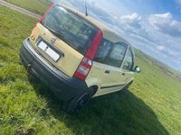 Gebraucht Fiat Panda 54 PS (39 kW) 2009 Gelb Kleinwagen