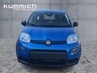 Gebraucht Fiat Panda 69 PS (50 kW) 2024 Blau Kleinwagen