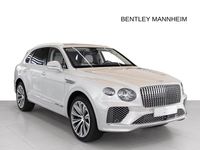 Neu Bentley Bentayga 549 PS (403 kW) 2025 White sand SUV
