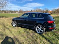 gebraucht Audi SQ5 3.0 TDI competition tiptronic quattro -