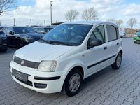 Gebraucht Fiat Panda 69 PS (50 kW) 2011 Weiß Kleinwagen