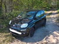 Gebraucht Fiat Panda 2017 Schwarz Kleinwagen
