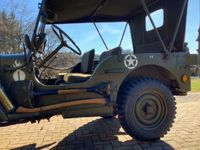 gebraucht Jeep Willys 