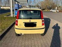 Gebraucht Fiat Panda 77 PS (56 kW) 2009 Gelb Kleinwagen