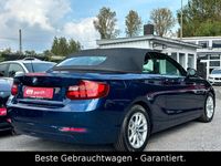 gebraucht BMW 220 i Cabrio Luxury Line Aut. * NAVI * 1HAND *TOP