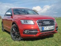 Gebraucht Audi SQ5 Ambiente 313 PS (230 kW) 2015 Rot SUV