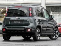 Neu Fiat Panda Cross Cross 69 PS (50 kW) 2025 Grün Kleinwagen