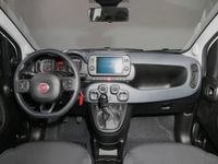 gebraucht Fiat Panda Cross Cross 1.0 Mild Hybrid EU6d Komfort Tech