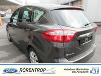 Gebraucht Ford C-MAX 116 PS (85 kW) 2014 Grau Van / Kleinbus