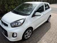 Gebraucht Kia Picanto 67 PS (49 kW) 2017 Weiß Kleinwagen
