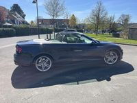 Gebraucht Audi A5 Cabriolet Sport 252 PS (185 kW) 2017 Cabrio