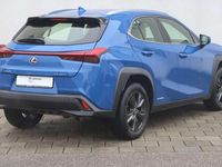 Gebraucht Lexus UX 250h Launch Edition 184 PS (135 kW) 2019 Blau SUV