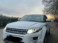 gebraucht Land Rover Range Rover evoque 2.2 eD4 Pure Pure