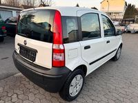 Gebraucht Fiat Panda Active 54 PS (39 kW) 2009 Weiß Kleinwagen