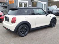 Gebraucht Mini Cooper D 116 PS (85 kW) 2019 Beige Kleinwagen
