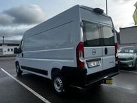Neu Opel Movano 179 PS (131 kW) 2025 Weiß Van
