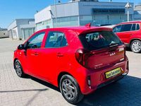 Gebraucht Kia Picanto Vision 63 PS (46 kW) 2024 Rot Kleinwagen