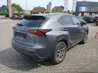 Gebraucht Lexus NX200t Executive Line 238 PS (175 kW) 2015 Grau SUV