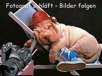 Gebraucht VW ID.3 Pro Performance 150 kW (204 PS) 2022 Grau Kleinwagen