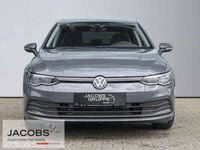 gebraucht VW Golf VIII 1.5 TSI Move