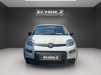 Gebraucht Fiat Panda 71 PS (52 kW) 2024 Weiß Kleinwagen