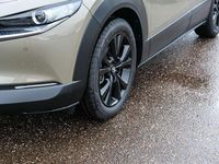 Neu Mazda CX-30 Homura-Line 140 PS (102 kW) 2025 Beige SUV
