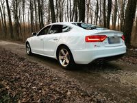 Gebraucht Audi A5 Sportback S-Line 150 PS (110 kW) 2015 Weiß Kleinwagen