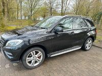 Gebraucht Mercedes ML250 204 PS (150 kW) 2012 Schwarz SUV