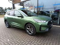 Neu Ford Kuga ST-Line 152 PS (111 kW) 2025 Bursting green metallic SUV