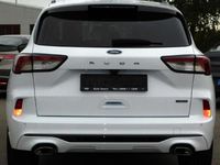 Gebraucht Ford Kuga ST-Line 152 PS (111 kW) 2021 SUV