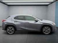 Brugt Lexus UX 2021 Grå SUV