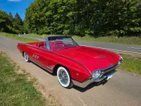Gebraucht Ford V8 300 PS (220 kW) 1963 Rot Cabrio