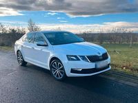 Gebraucht Skoda Octavia Drive 116 PS (85 kW) 2017 Weiß Limousine