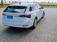 Gebraucht Skoda Octavia First Edition 150 PS (110 kW) 2020 Weiß Limousine
