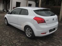 Gebraucht Kia ProCeed 90 PS (66 kW) 2013 Weiß Kleinwagen