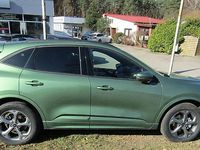 Gebraucht Ford Kuga ST-Line 186 PS (136 kW) 2025 Grün SUV