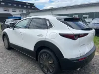 Neu Mazda CX-30 Homura-Line 186 PS (136 kW) 2025 SUV
