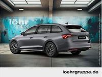 Neu Skoda Octavia Essence 116 PS (85 kW) 2026 Blau (energyblau) Kombi