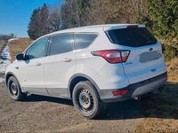 Gebraucht Ford Kuga Trend 150 PS (110 kW) 2017 Weiß SUV