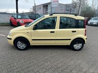 Gebraucht Fiat Panda Dynamic 60 PS (44 kW) 2009 Gelb Kleinwagen