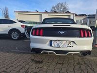 Gebraucht Ford Mustang 317 PS (233 kW) 2017 Weiß Cabrio